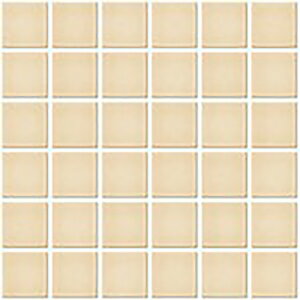 IM-50P1/NY54mV[gn@CeAUCN@jAX 50mmplbg ǁ@UCN^C