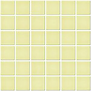 IM-50P1/NY55mV[gn@CeAUCN@jAX 50mmplbg ǁ@UCN^C