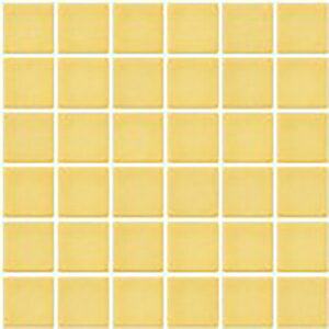 IM-50P1/NY6HmV[gn@CeAUCN@jAX 50mmplbg ǁ@UCN^C