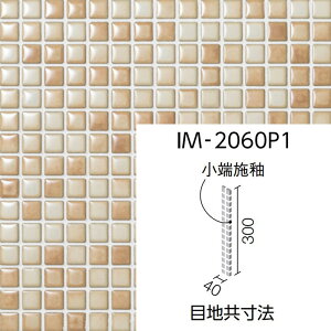 JChOCY@IM-2060P1/KLG-2mV[gn@CeAUCN @20mmpЖʏ[{փlbg