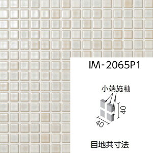 JChOCY@IM-2065P1/KLG-1mV[gn@CeAUCN@20mmpЖʏ[{փlbg