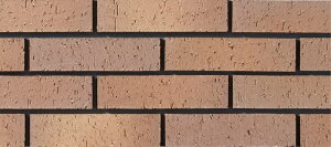 FC-2RG/N4@ΐFiЂˁj ý@񒚊|^CvmtʁnOǃ^Cm͂邩׍H@pn