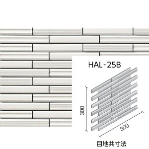 ZBIKiaʃ{[_[j@HAL-25B/CKS-1mV[gn@{[_[lbginڒnj@Oǃ^C