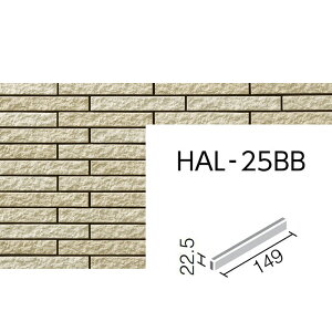 ZBISiʃ{[_[j@HAL-25BB/CSS-2mP[Xn@pm͂邩׍H@n@Oǃ^C