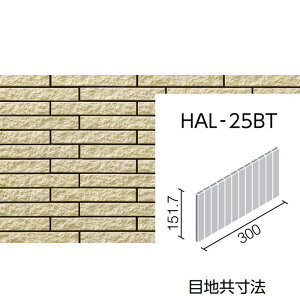 yAEgbgz@ZBISiʃ{[_[j@HAL-25BT/CSS-3mP[Xn@clbg@Oǃ^Cm͂邩׍H@n