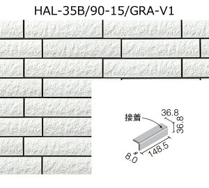HAL-35B/90-15/GRA-VFmn@ZBIOA@90°ȁm┧ʁniڒj@Oǃ^Cm͂邩׍H@pn