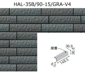 HAL-35B/90-15/GRA-VFmn@ZBIOA@90°ȁm┧ʁniڒj@Oǃ^Cm͂邩׍H@pn