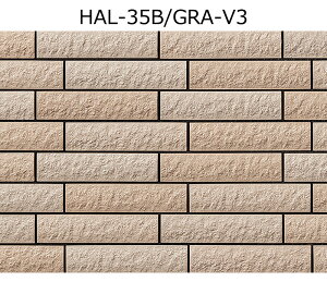 HAL-35B/GRA-VFmV[gn@ZBIOA@{[_[lbgm┧ʁninڒnj@Oǃ^Cm͂邩׍H@pn