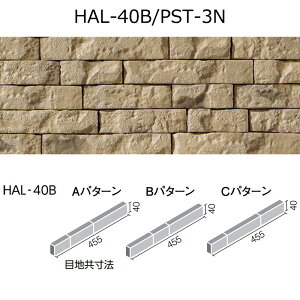 HAL-40B/PST-FNmP[Xn@pXg[m@ٌ`BJjbg@Oǃ^Cm͂邩׍H@pn