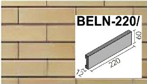 yAEgbgzBELN-220/14Ay10Zbgz@xj[Y@񒚊|^Cv@