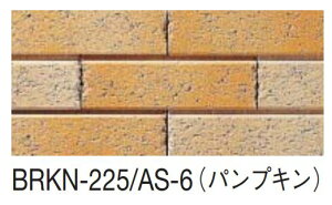 yAEgbgz@BRKN-225/AS-6mP[Xn@xj[Y@AXv[mubN^Cvn@񒚊|^Cv@