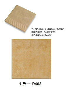 ÉUCN VNCh 300pKi(Op) SIC-R403K[o]