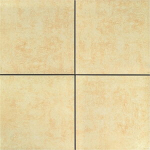 ÉUCN VN[tB 400p(P[X) SIC-V5302