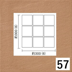 OCC-100-51`60[P[X] IbLI 100pΖʗlbg\ ÉUCN    O^C@