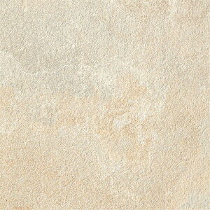 ÉUCN sGglCeBu2 PIETRENATIVE2 CLG-R4520G 300p