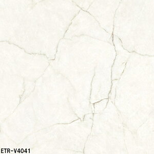 ETR-V40FԁmP[Xn@ÉUCN@GXgA[m@400p@ǁAAAǁ@Oǁ@^C@嗝Β