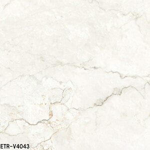 ETR-V40FԁmP[Xn@ÉUCN@GXgA[m@400p@ǁAAAǁ@Oǁ@^C@嗝Β