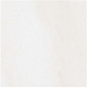 MSY-R9200G ÉUCN B[^ 300pe ^C     O O