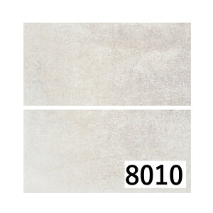 yAEgbgzPAN-U8010[] ÉUCN@sGg\[j600×300p(594.5×296×9.5mm) ǁAAAǁAOǃ^C