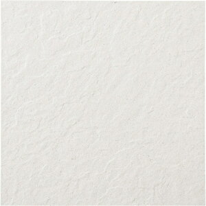 ÉUCN }LA[ MACCHIALA MAC-300-01 300p