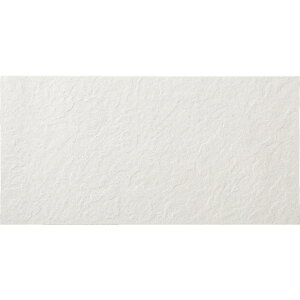 ÉUCN }LA[ MACCHIALA MAC-630-01 600×300p