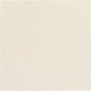 ÉUCN }X^[ S2 MASTER S2 NGH-300-11F 300p