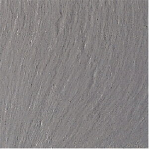 ÉUCN }X^[ S2 MASTER S2 NGH-300-13 300pΖ