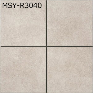 MSY-R3040�m5���Z�b�g�n�l�C�`���[II�@300�p���@