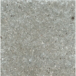 ÉUCN [WB[ ROSY TN300B-82 300p