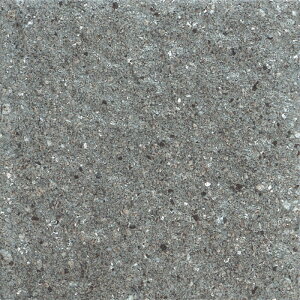 ÉUCN [WB[ ROSY TN300B-83 300p