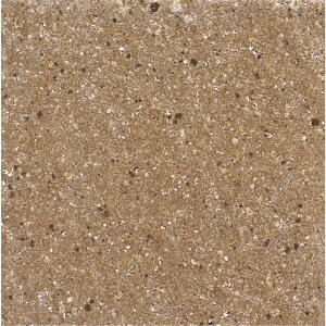 ÉUCN [WB[ ROSY TN300B-85 300p