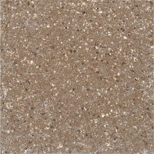 ÉUCN [WB[ ROSY TN300B-86 300p