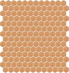 HEX22-603-CmV[gn ÉUCN wLTSyv[z 22Zp`\ UCN^C@Zp`@