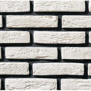 ÉUCN BRUGGE u[W 205×50p BRU-00