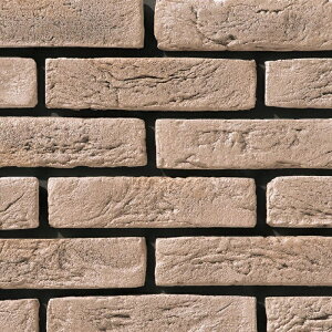 ÉUCN BRUGGE u[W 205×50p BRU-07