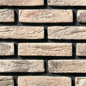 ÉUCN BRUGGE u[W 205×50p BRU-10