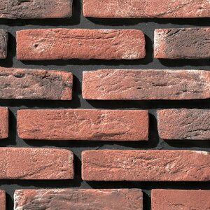 ÉUCN BRUGGE u[W 205×50p BRU-30