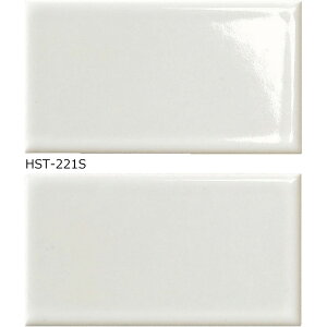 ÉUCN ЂS  HST-221SiuCgjmP[Xn Ntg^C ǃ^C