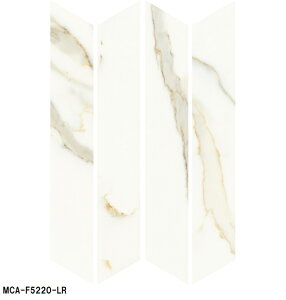 MCA-F52F-LRmP[Xn@ÉUCN@NVR}@450×75slӌ`@ǁAAAǁ@Oǁ@^C