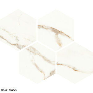 MCA-Z52FԁmP[Xn@ÉUCN@NVR}@250×217Zp`@ǁAAAǁ@Oǁ@^C