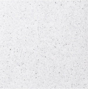 TChic �炭�炭��`�� �m�u�� 300�p��PM-300/NBE-1