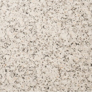 TChic �炭�炭��`�� �m�u�� 300�p��PM-300/NBE-2