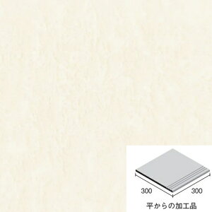 jb^CHƊ ^C@GV[h3ES3-30K-105@ӊKi300 (13)