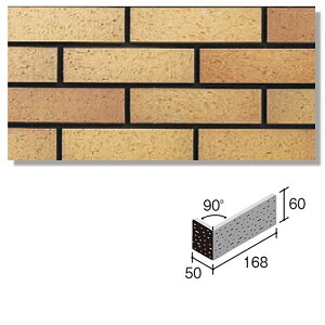 jb^CHƊ ǃ^C lIiC(ڒܒH@) NN-2NH-100 WȂieʁjiڒj