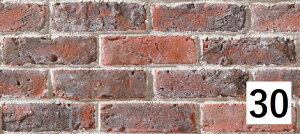 jb^CHƊЁ@}WJubNv~A@@PMR-20-F[P[X̔]@Oǃ^C@ZgnXg[EubN@K