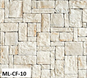 jb^CHƊ }WJCgXg[CF ML-CF-10