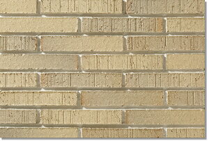 jb^CHƊ Oǃ^C qʁ`悤񂳂`(ڒܒH@) YES-6-20 {[_[