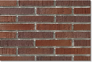 jb^CHƊ Oǃ^C qʁ`悤񂳂`(ڒܒH@) YES-6-30 {[_[