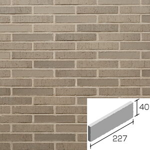 jb^CHƊ Oǃ^C qʁ`悤񂳂`(ڒܒH@) YES-6H-25 {[_[Ȃiڒj