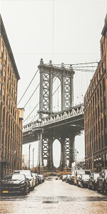 ECSF-1260S/107AECSF-1260M/107(tւp)GRJbgZt Photo }OlbgtGRJbgvX ǃ^C ELbցEgCEQDIYɂ߁bA[g CeA  